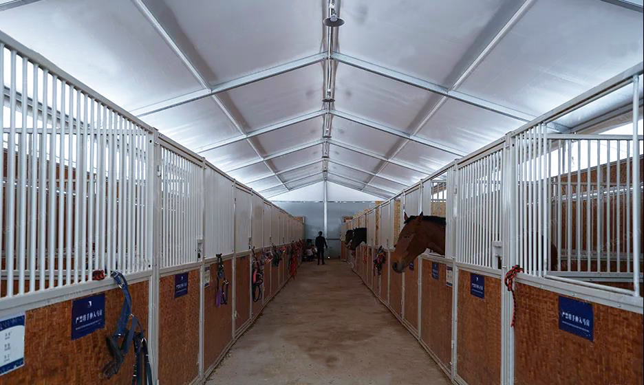 15967030870608967898.jpg 15967030870608967898.jpg