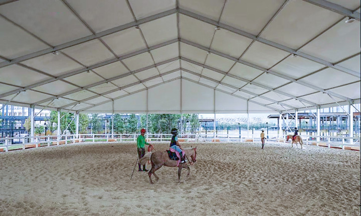 15967031320608131606.jpg 15967031320608131606.jpg