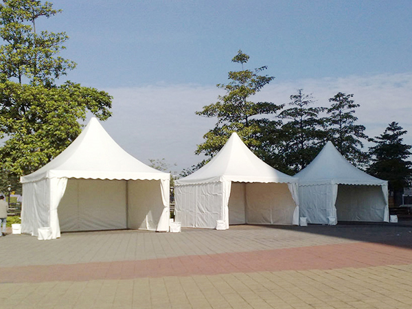 16106146251401145331.jpg 39.jpg